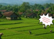 3 Tahun Puluhan Warga Desa Aek Sabaon Tapsel Tak Dapat Bantuan Ketapang