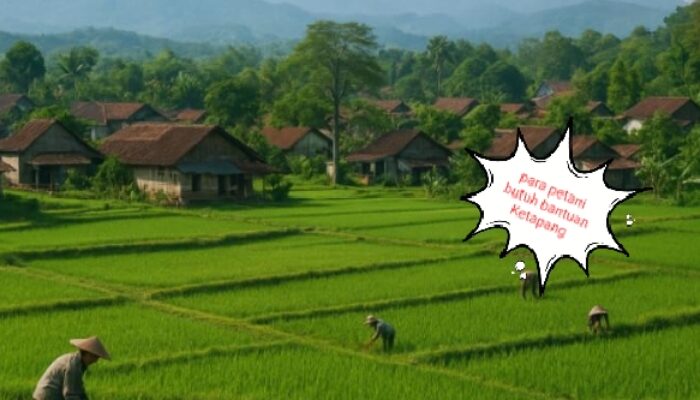 3 Tahun Puluhan Warga Desa Aek Sabaon Tapsel Tak Dapat Bantuan Ketapang