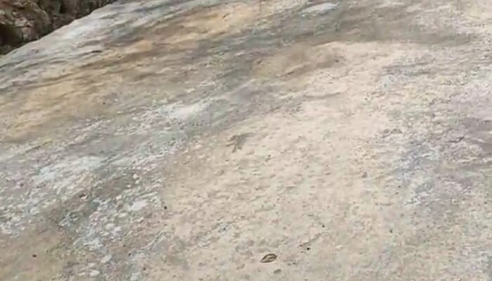 Rehab Jalan Simp Perkayuan Baringin SDH Ta 2025 Sudah Mulai Rusak 