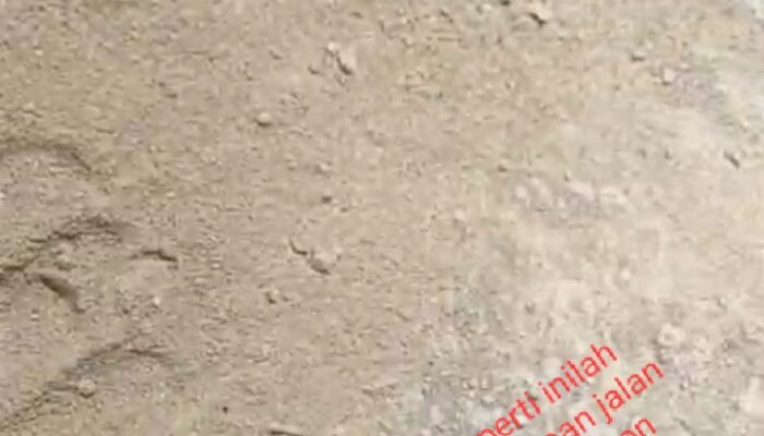 Diduga Pengawasan Proyek Rehab Simp Perkayuan SDH Ta 2025 ” Mandul”