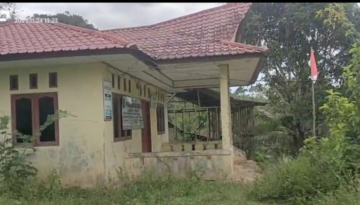 Diduga Kades, Perangkatnya Tak Ngantor, Kantor Desa Lubuk Torop Kab Paluta Mulai ” Diselimuti” Rumput Liar 