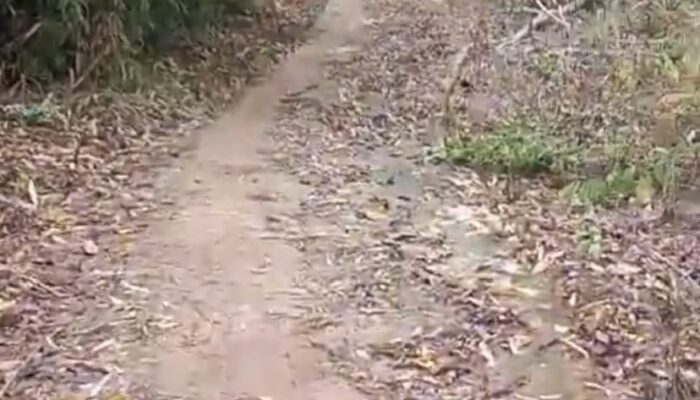 Diduga Proyek Jalan Desa Ta 2023 Dan Perkerasan Jalan Ta 2024 Di Desa Menanti Kab Paluta Fiktif 