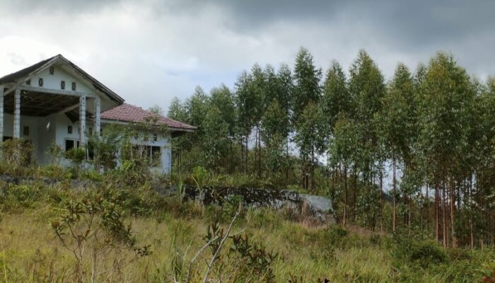 Diduga Distan Tapsel Biarkan Lahan Pemkab Tapsel Diserobot PT TPL 