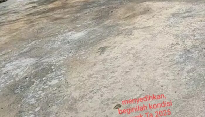 PPK Proyek Simp Perkayuan Baringin Ta 2025 Alergi Pada Wartawan 