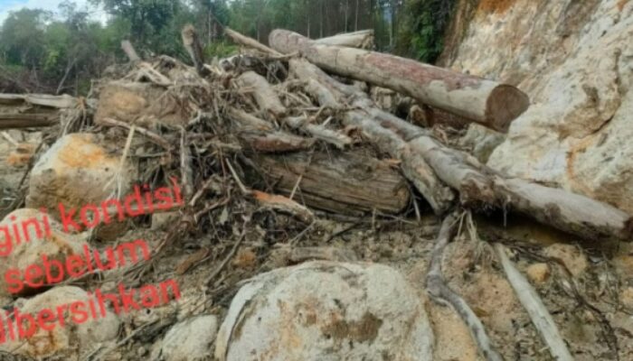 Disinyalir PT TPL Di Tapsel Pemicu Longsor 