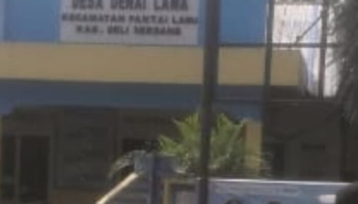 Kades Denai Lama Kab Deli Serdang Tertutup Pengadaan Ternak Bebek Petelur Ta 2024