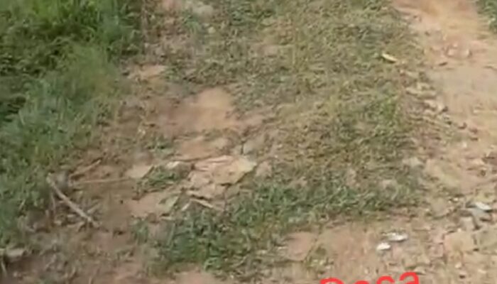 Dugaan Fiktif Proyek Jalan Rp 650 Juta,  APH Diminta Panggil Dan Tangkap Kades Sitanggoru Paluta 