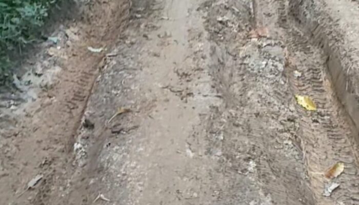 Diduga Proyek Pemeliharaan Jalan Desa Sitanggoru Dari DD Ta 2024 Fiktif, Kades ” Membisu”