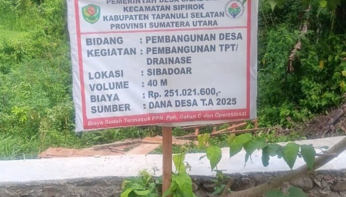 Diduga Proyek Pembangunan TPT/ Drainase Ta 2025 Dari DD Sibadoar Digelembungkan 