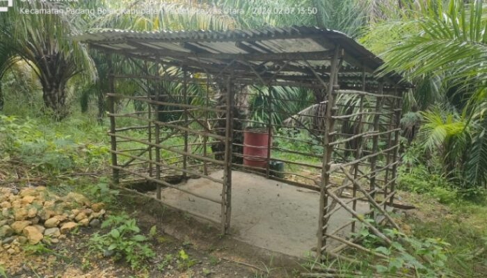 Disinyalir Jadi ” Ajang” Korupsi Dana Penyertaan Modal Ta 2025 Desa Aek Tolong 