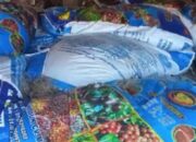 Diduga ” Ajang” Korupsi Berjamaah Pengadaan Pupuk NPK Ta 2025 Se Kec Hulu Sihapas Paluta 