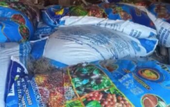 Diduga ” Ajang” Korupsi Berjamaah Pengadaan Pupuk NPK Ta 2025 Se Kec Hulu Sihapas Paluta 