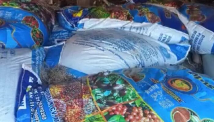 Diduga ” Ajang” Korupsi Berjamaah Pengadaan Pupuk NPK Ta 2025 Se Kec Hulu Sihapas Paluta 