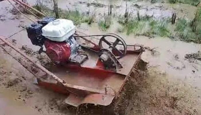 Rp 100 Juta Lebih DD Ta 2025  Pembelian Hand Traktor Desa Balimbing Jae” Simpan Misteri” 