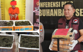 Pemuda Persis Labuhanbatu Raya Puji Ketegasan AKP M. Lumban Gaol Sikat Mafia Ganja 41 Kg