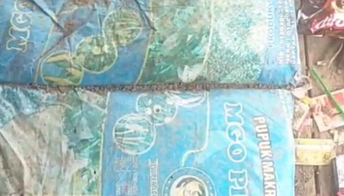 Diduga Pengadaan Pupuk,”Modus” Kasi Pembangunan Kec Padang Bolak Julu Mengeruk DD 