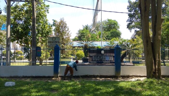 Proyek ” Siluman”  Di Lingkungan Kantor Dinas Pertanian Deli Serdang Sedang Dikerjakan 