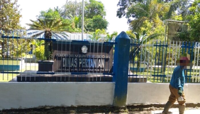 Ketua LSM SuHu Desak Kadis Pertanian Deli Serdang Transparan Paket Pemeliharaan Pagar Ta 2026