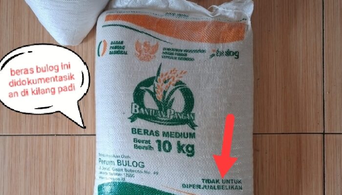 Camat Angkola Timur ” Bungkam” Soal Beras Bulog Diduga ” Dilego”  Ke Kilang Padi 