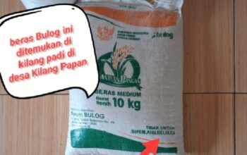 APH Diminta Panggil Dan Periksa Camat Angkola Timur Dan Pemilik Kilang Padi Soal Beras Bulog 