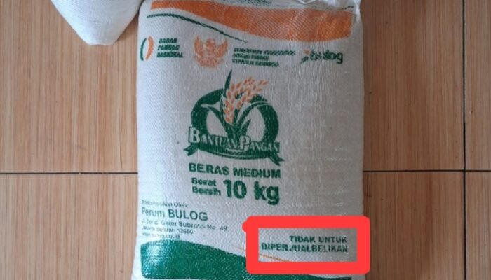 LSM PAKAR Tapsel Akan Adukan Ke APH, Beras Bulog Diperjualbelikan 