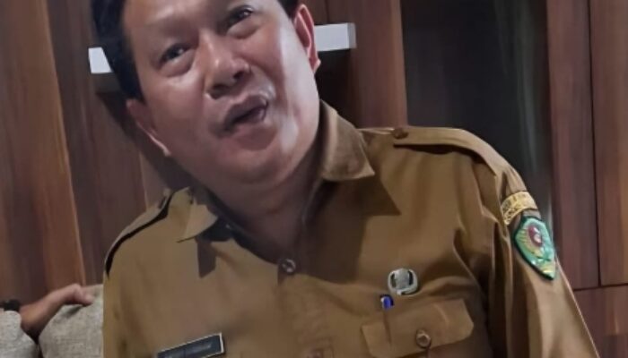 Diduga Sudah Kedaluwarsa,  PH Masih Plt Kadisdagkop UKM Tapsel