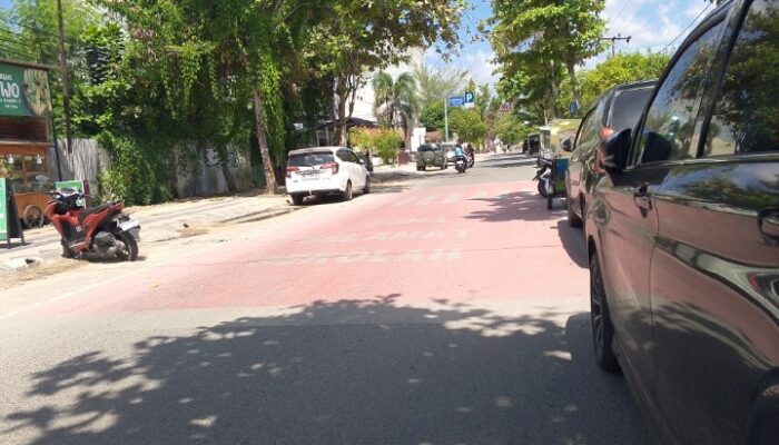 Kadis Perhubungan Deli Serdang Akui Tak Cukup Dana Buat ZoSS Sesuai Aturan 