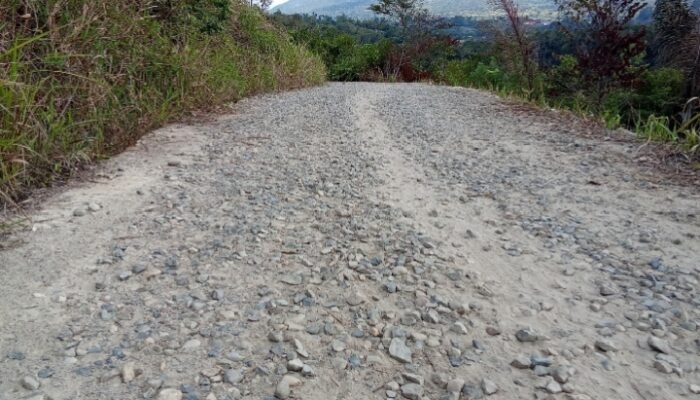 Proyek Rabat Beton Ta 2025 Pagu Rp 500 Juta Milik Dinas PUTR Tapsel Mengelupas
