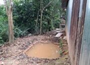 Diminta Kepada APH Tertibkan  PETI Atau Galundung Di Kel Simarpinggan Tapsel 