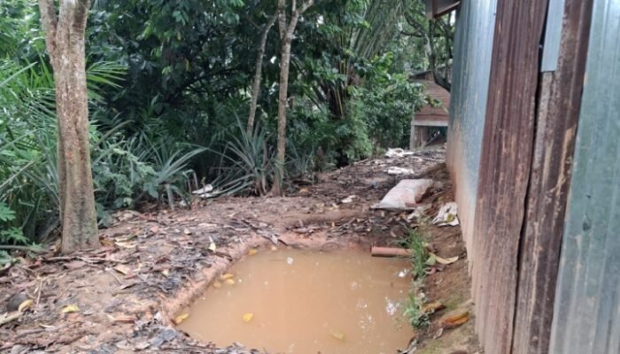 Diminta Kepada APH Tertibkan  PETI Atau Galundung Di Kel Simarpinggan Tapsel 