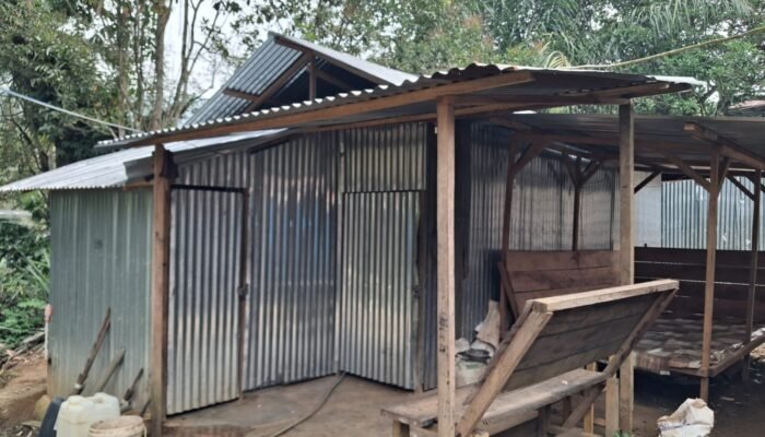 LSM PAKAR DPW Tabagsel Desak APH Tertibkan Dugaan PETI Di Kel Simarpinggan Tapsel 